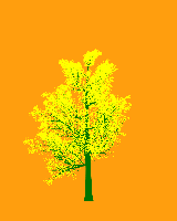 greenshift tree