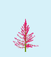 greenshift tree