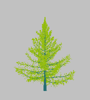 greenshift tree