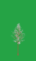 greenshift tree