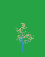 greenshift tree