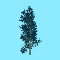 greenshift tree