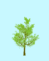 greenshift tree