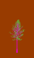 greenshift tree