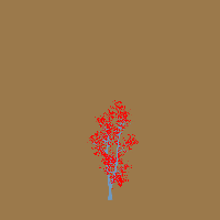 greenshift tree