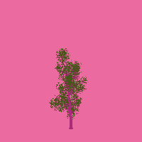 greenshift tree