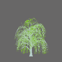 greenshift tree