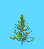 greenshift tree