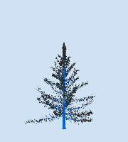 greenshift tree