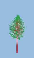 greenshift tree