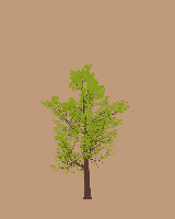 greenshift tree