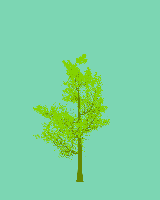 greenshift tree