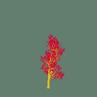 greenshift tree