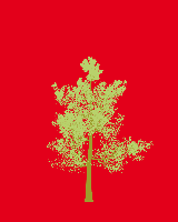 greenshift tree
