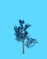 greenshift tree