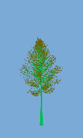 greenshift tree