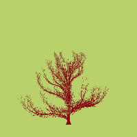 greenshift tree