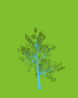 greenshift tree