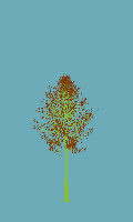 greenshift tree