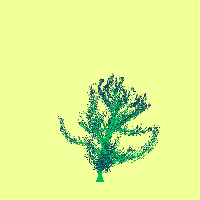 greenshift tree