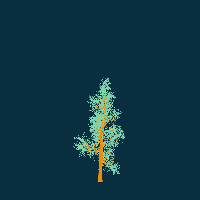 greenshift tree