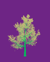greenshift tree