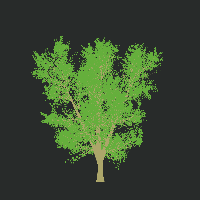 greenshift tree