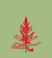 greenshift tree