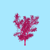 greenshift tree