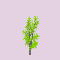 greenshift tree
