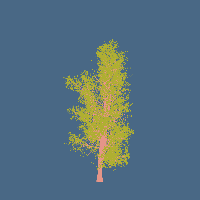 greenshift tree