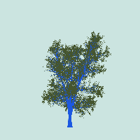greenshift tree