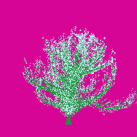 greenshift tree