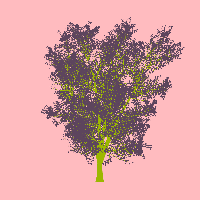 greenshift tree