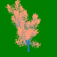 greenshift tree