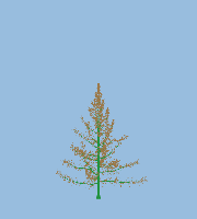 greenshift tree