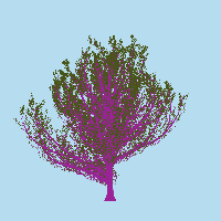 greenshift tree