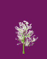 greenshift tree