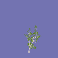greenshift tree