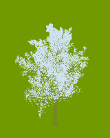 greenshift tree