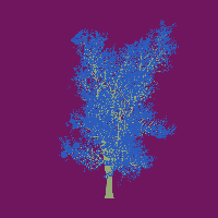 greenshift tree