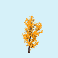greenshift tree