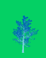 greenshift tree