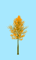 greenshift tree