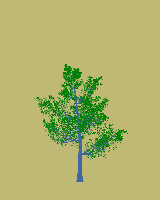 greenshift tree