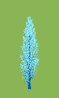 greenshift tree