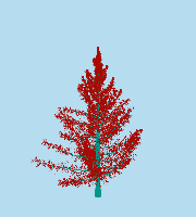 greenshift tree