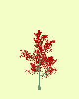 greenshift tree