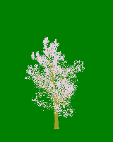 greenshift tree