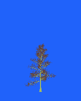 greenshift tree